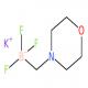三氟(嗎啉代甲基)硼酸鉀-CAS:936329-94-1