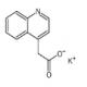 2-(喹啉-4-基)乙酸鉀-CAS:2007920-48-9