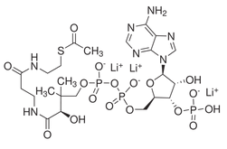 乙酰輔酶A三鋰鹽-CAS:32140-51-5