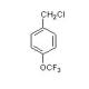 4-(三氟甲氧基)氯芐-CAS:65796-00-1